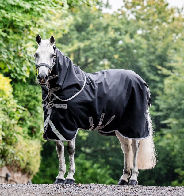 Horseware Amigo Bravo 12 Plus Turnout Heavy 400g PONY - CLOSEOUT Supply - Image 2